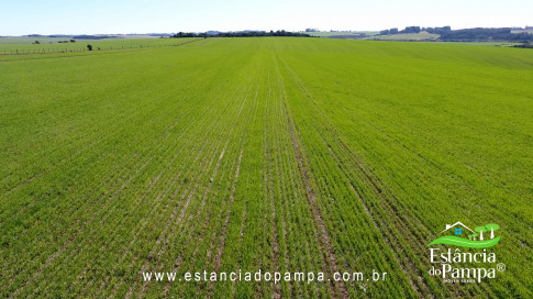 VAI DA BR PARA A FAZENDA.00_01_24_09.Quadro013_276ee39bc5f70cfb9eea3670fba9988b6a636435.jpg